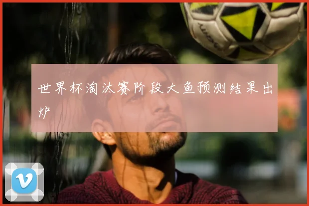 世界杯淘汰赛阶段大鱼预测结果出炉