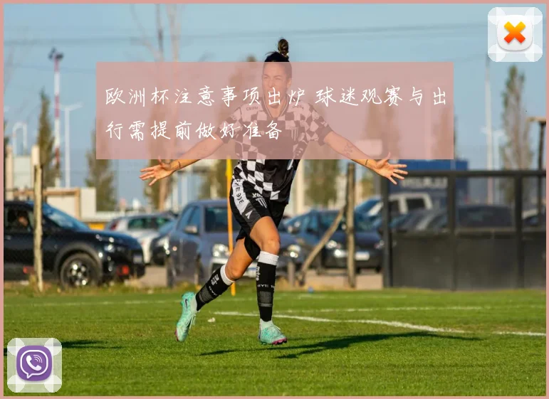 欧洲杯注意事项出炉 球迷观赛与出行需提前做好准备