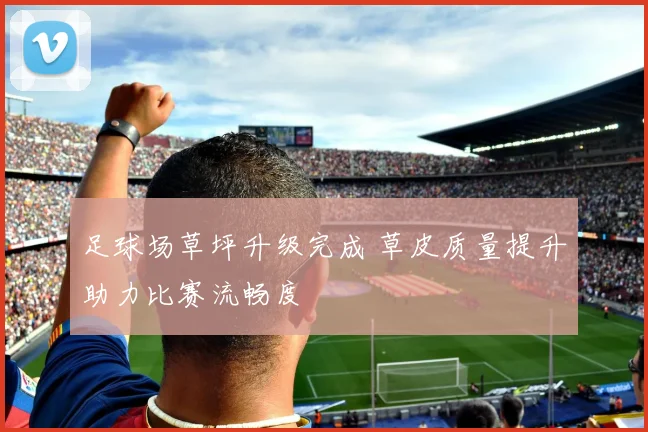 足球场草坪升级完成 草皮质量提升助力比赛流畅度