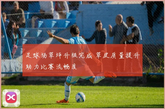 足球场草坪升级完成 草皮质量提升助力比赛流畅度